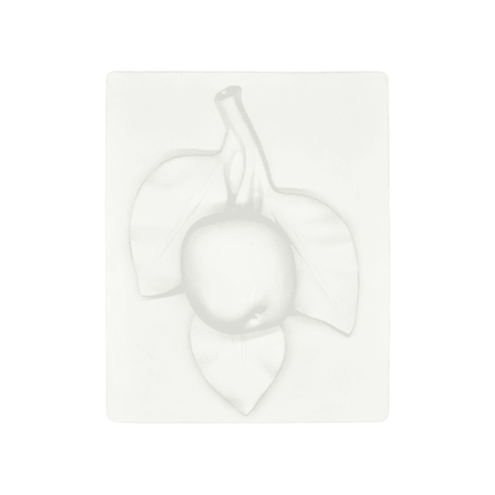 Гипсовая модель Картина ветка с яблоком